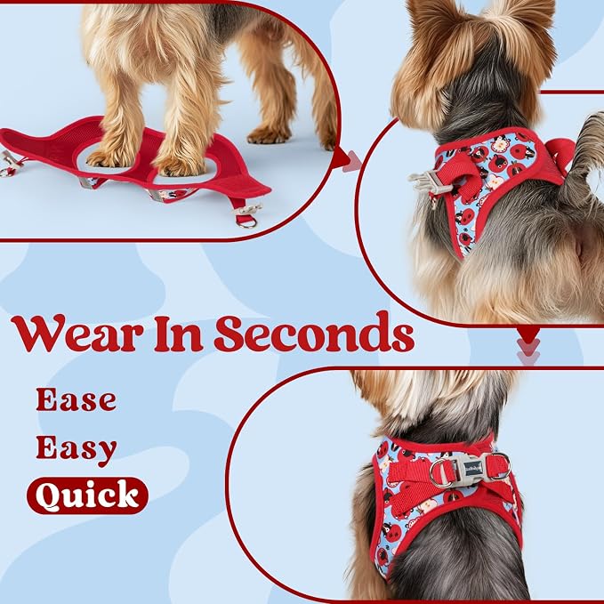 rabbitgoo Step-in Small Dog Harness, Puppy Vest for Small Sized Pet | Easy Put on and off, Lightweight, Soft, Breathable Quick-Dry Air Mesh for Comfortable Secure Walking, Apple Pups M - Image 5