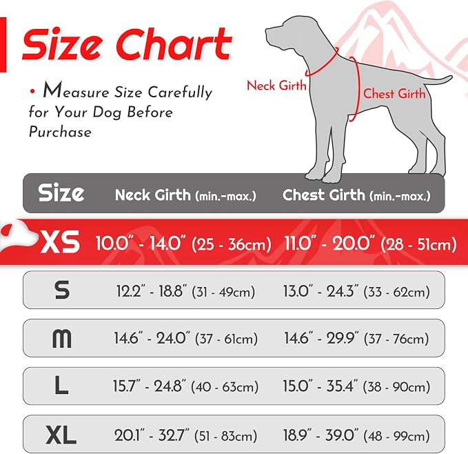 Eagloo Dog Harness for Small Dogs, No Pull Pet Vest with 2 Leash Clips | No Choke with Handle, Adjustable Comfort Fit, Reflective Strips, Easy Walking Control, Red, X-Small - Image 2