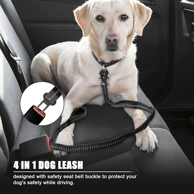 Raipult Tactical Shock Absorbing Bungee Dog Leash Heavy Duty, 4-6ft, Black | for Large Dogs That Pull, Quick-Release Frog Clip, Dual Handles for Close Control, Car Seat Belt Clip, Reflective at Night - Image 4