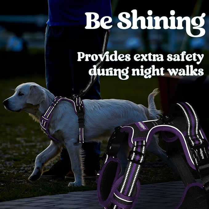 rabbitgoo Dog Harness for Large, Updated Easy On & Off with 3 Buckles | No Pull No Choke, Walking with 2 Clips and Handle, Adjustable Soft Reflective, Black & Purple, Large - Image 8