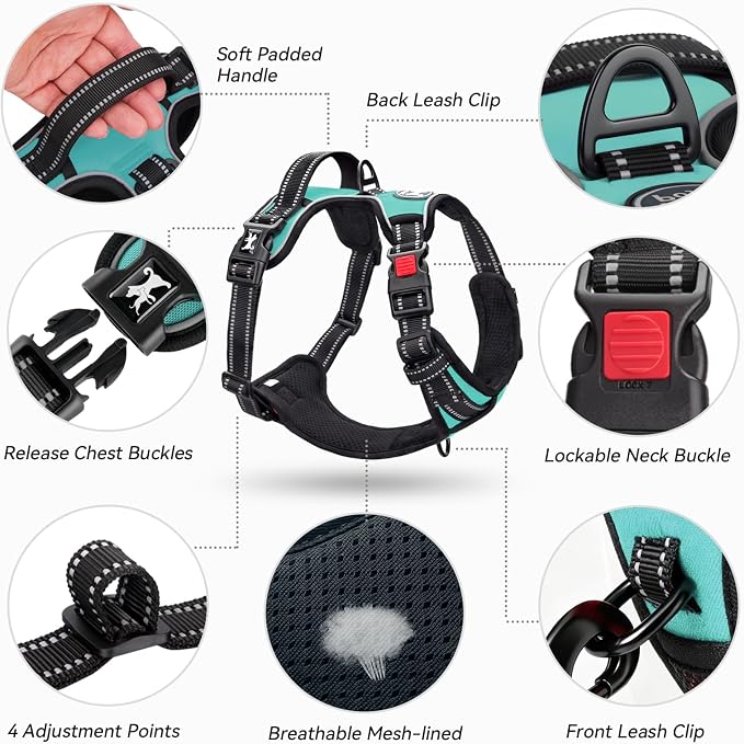 PoyPet No Pull Dog Harness Large with Front Clip & Neck Release Buckle | No Choke, Adjustable Vest, Reflective, Back Clip, Lockable, Soft Padded Handle for Walking Training, XL, Mint Blue - Image 8