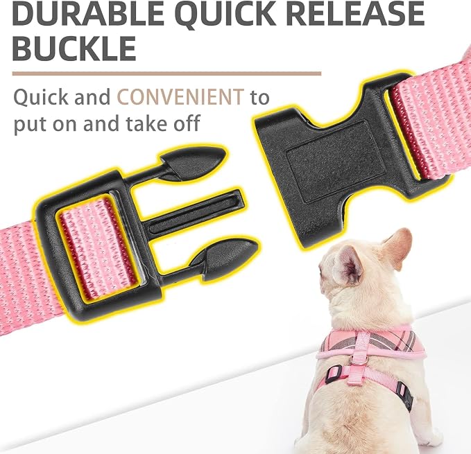 PUPTECK Small Dog Harness and Leash Set No Pull for XS XXS Sized Dogs Puppy | Escape Proof No Choke Pet Cat Adjustable Soft Padded Walking Vest - Image 4