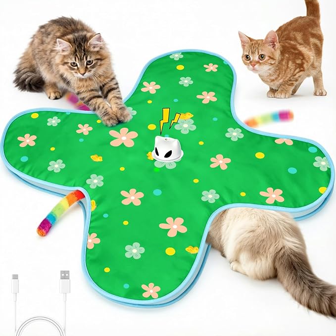 Interactive Cat Toys for Indoor Cats, Rechargeable Hide & Seek Toy | Touch Activated, 3 Speed Modes, 10-Min Auto off, Bird Chirps(can turn off), Hidden Feather Wand for Bored Adult Cats, Green by Unknown