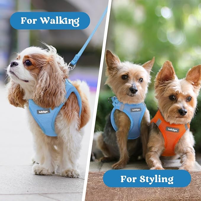 rabbitgoo Step-in Small Dog Harness, Puppy Vest for Small Sized Pet | Easy Put on and off, Lightweight, Soft, Breathable Quick-Dry Air Mesh for Comfortable Secure Walking, Blue XS - Image 9