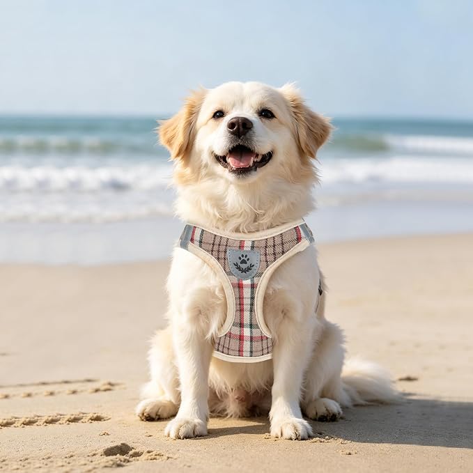 PUPTECK Dog Harness, Collar and Leash Set No Pull for Small Medium Sized | Plaid Puppy Step-in Escape Proof Reflective No Choke Pet Cat Adjustable Walking Vest - Image 9