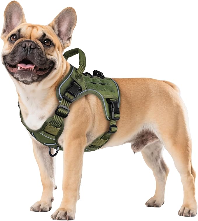 WINGOIN Green Tactical Dog Harness for Small Dogs,No Pull Dog Harness | Heavy Duty with Handle,Adjustable Reflective,Military K9 Body Pet Vest,for French Bull Pugdog,for Walking Training Running by WINGOIN