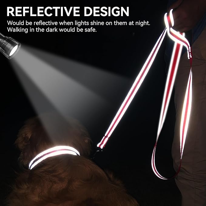 Joytale Reflective Dog Leash for Small Dogs, 5 FT x 3/4", Red | Heavy Duty Nylon Webbing, Padded Handle for Comfort, Visible at Night, for Walking & Training - Image 4