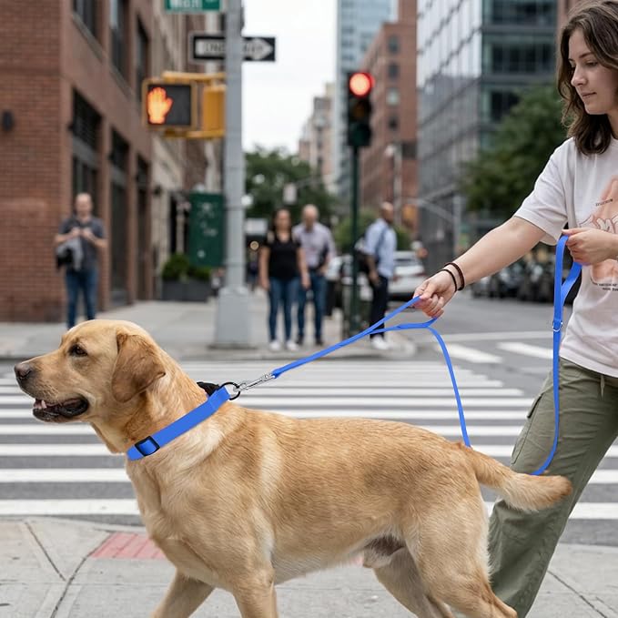 Waterproof Dog Leash with Double Handle, 6 FT Durable Odor-Proof Dog Leashes with Strong Aviation Aluminum Hooks Fits Small Medium or Large Dogs - Image 6