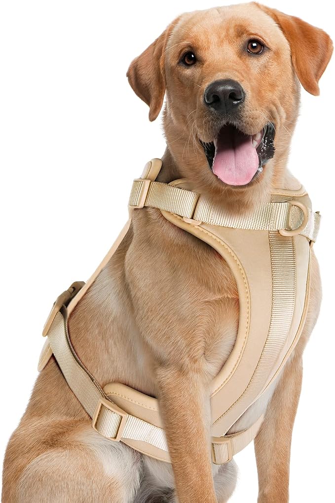 Wisedog Lightweight No Pull Dog Harness, Sand Color, Large | Air Mesh, 3 Clips, Adjustable, No Choke Design, Ideal for Walking Training by WisedogPetSupplies