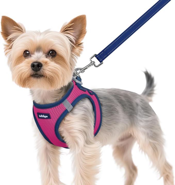 rabbitgoo Dog Harness Small Sized and Leash Set, Step in Soft Vest | Breathable Mesh, Easy Wear with Hook & Loop, Light and Reflective for Walking, Multi-colored, Rose Red & Navy Blue, XS by rabbitgoo