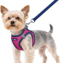 rabbitgoo Dog Harness Small Sized and Leash Set, Step in Soft Vest | Breathable Mesh, Easy Wear with Hook & Loop, Light and Reflective for Walking, Multi-colored, Rose Red & Navy Blue, XS by rabbitgoo