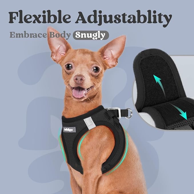 rabbitgoo Step-in Small Dog Harness, Puppy Vest for Small Medium Sized Pet | Easy Put on and off, Lightweight, Soft, Breathable Quick-Dry Air Mesh for Comfortable Secure Walking, Black L - Image 8