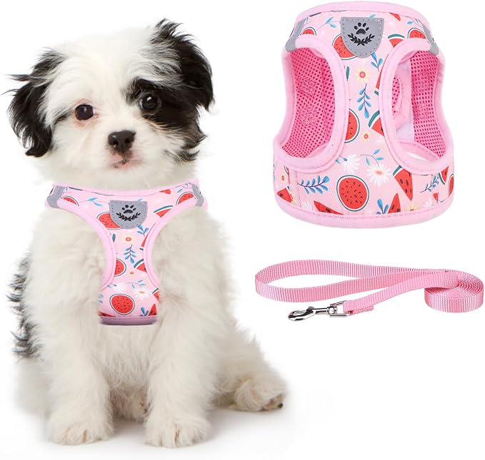 KOOLTAIL Dog Harness and Leash Set for Small Medium Dogs, Step in No Pull Soft Mesh Dog Harness Comfort Padded Pet Vest, Adjustable Reflective Easy Walking Puppy Cats Harness Training, Watermelon S by KOOLTAIL