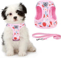KOOLTAIL Dog Harness and Leash Set for Small Medium Dogs, Step in No Pull Soft Mesh Dog Harness Comfort Padded Pet Vest, Adjustable Reflective Easy Walking Puppy Cats Harness Training, Watermelon S by KOOLTAIL
