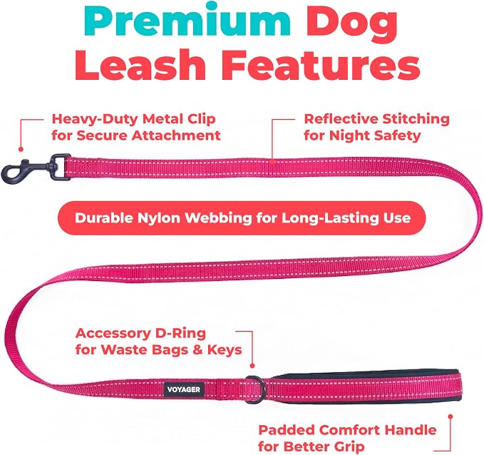 Best Pet Supplies Voyager Nylon Dog Leash - 6ft Fuchsia, Large | 6ft in Length, 1" in Width, Reflective, Soft Neoprene Handle, Heavy Duty Metal Clips for Running, Walking & Training - Image 2