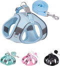 Solmoony Dog Harness and Leash Set for Small Medium Dogs - No Pull, Step-in, Mesh Puppy Harness (Blue, M) by SOLMOONY