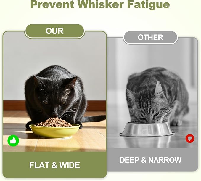 SPUNKYJUNKY Shallow Elevated Cat Bowl with Acacia Wood Stand Wide Raised Ceramic Cat Dishes Whisker Friendly Pet Food and Water Plates (Striped Pattern, 2 Pack, Green) - Image 4