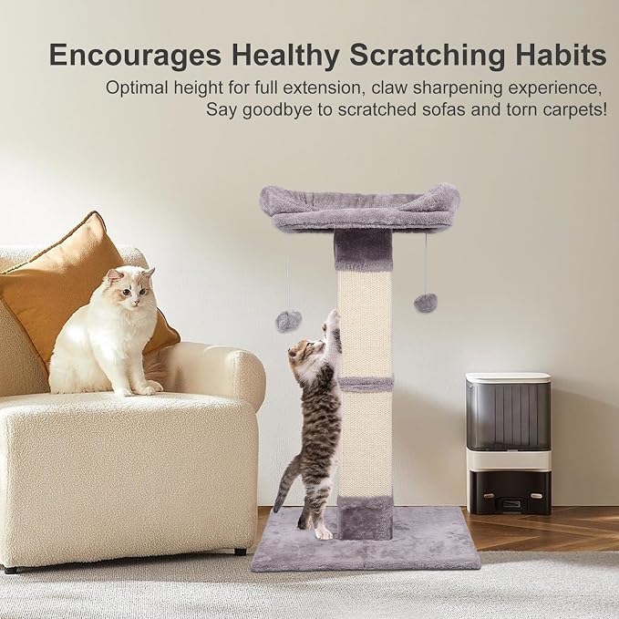 34" Tall Cat Scratching Post with Bed, Sisal Scratch Posts Trees with Plush Perch and Hanging Ball for Indoor Cats, Removable Cover, Large Scratch Post and Base, Rugged and Durable, Light Grey - Image 5
