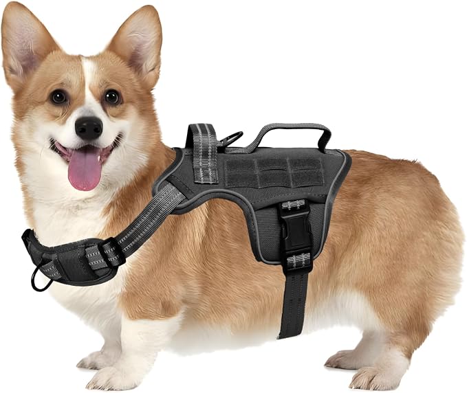 Dog Harness, Tactical No Pull for Small Sized Dog with Handle | Breathable Soft Padded, Adjustable, Reflective, Molle System, Heavy Duty, No Choke for Walking Training, Black Small by Runfido