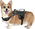 Dog Harness, Tactical No Pull for Small Sized Dog with Handle | Breathable Soft Padded, Adjustable, Reflective, Molle System, Heavy Duty, No Choke for Walking Training, Black Small by Runfido