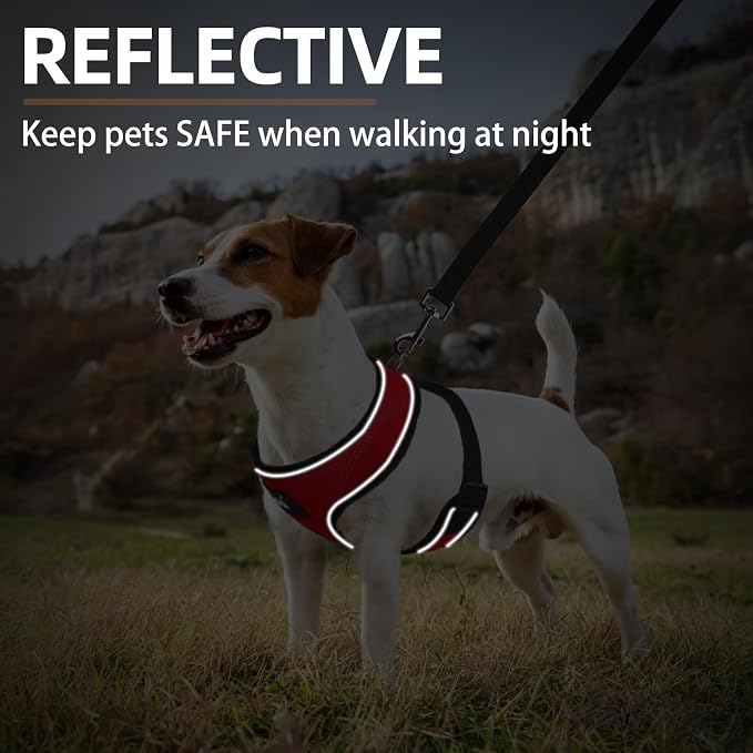 PUPTECK Small Dog Harness and Leash Set No Pull for XS XXS Sized Dogs Puppy | Escape Proof No Choke Pet Cat Adjustable Soft Padded Walking Vest - Image 6