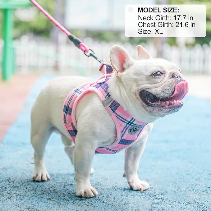 BEAUTYZOO Large Dog Harness and Leash Set,No Pull Puppy Pet Vest - Pink, L | Step-in Easy On/Off, All Season Breathable Mesh,Escape-Proof Hook & Loop,Lightweight Reflective,No Choke,Easy Walking Control - Image 8