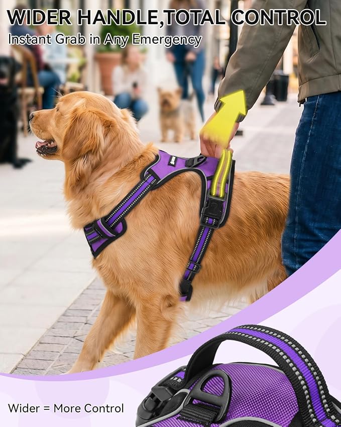 Joytale No Pull Dog Harness & Seat Belt, Easy On 3-Buckle, M, Purple | Front Clip Reduces Pulling, Escape-Resistant Design, Adjustable Fit, Soft Padding for Comfort, Secure Tether for Safer Travel - Image 5