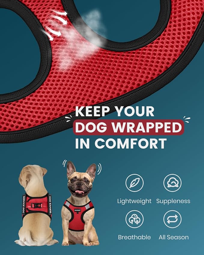 FAYOGOO Service Dog Vest for Small Breed - Lightweight Dog Harness with 6PCS Removable Patches - Puppy Harness and Leash Set for Walking,Training | Lightweight step-in vest with leash and removable identification patches; measure neck and chest before ... - Image 3