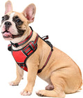 Dog Harness No Pull, Pet Harnesses with Dog Collar, Adjustable Reflective Oxford Outdoor Vest, Front/Back Leash Clips for Small, Medium, Large, Extra Large Dogs, Easy Control Handle for Walking by WINSEE
