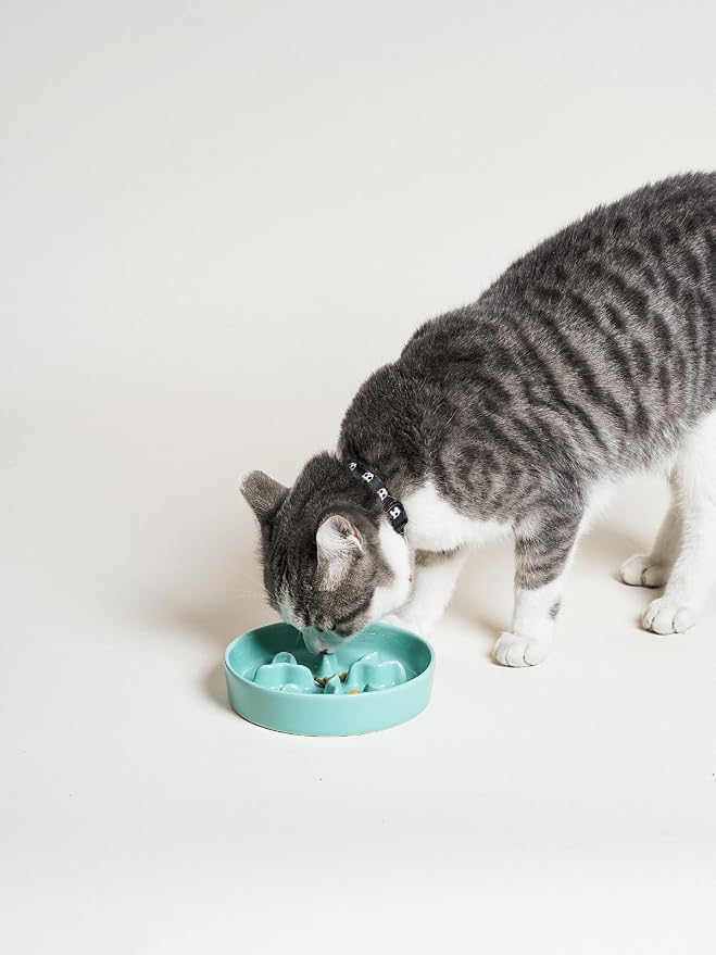 Ceramic Slow Feeder Dog Bowls Small Breed, 0.5 Cups Dog Food Dish for Fast Eaters, Puzzle Bowl for Small Dogs and Cats, 5.5 Inch-Turquoise - Image 5