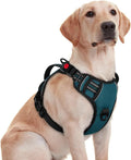 rabbitgoo Large Dog Harness, Easy Wear with 3 Buckles and Lift Handle | No Pull with Front Clip for Walking, Adjustable Soft Padded, Reflective, Easy Control, Green, Medium by rabbitgoo