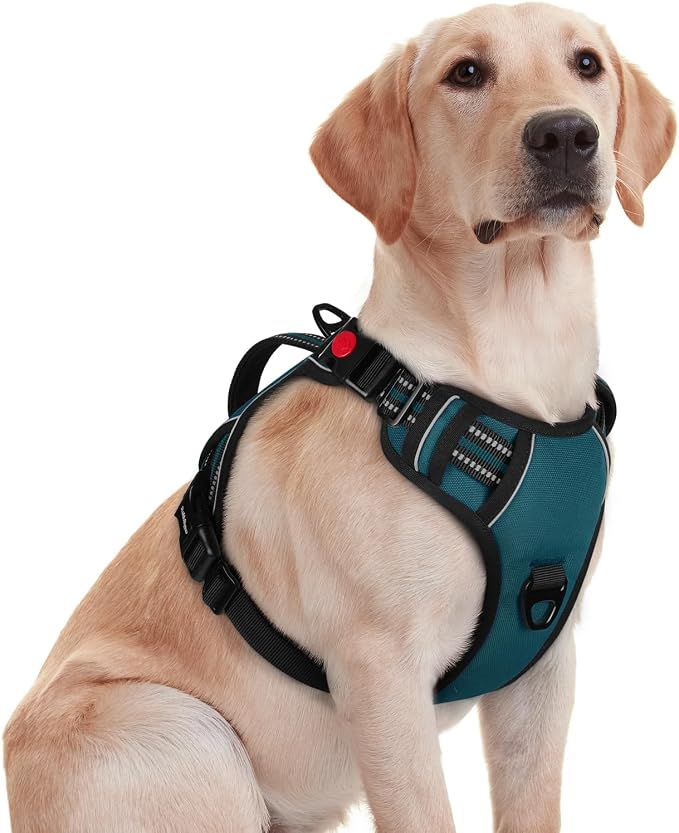 rabbitgoo Large Dog Harness, Easy Wear with 3 Buckles and Lift Handle | No Pull with Front Clip for Walking, Adjustable Soft Padded, Reflective, Easy Control, Green, Medium by rabbitgoo