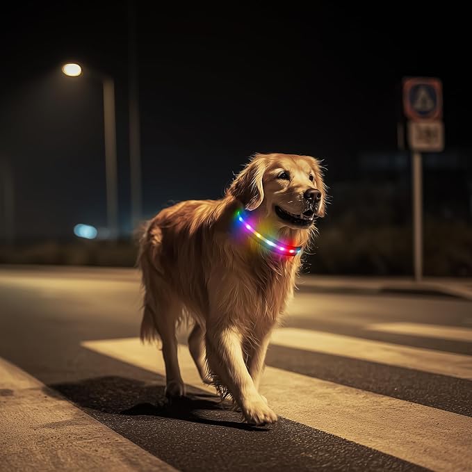 LED Dog Collar, RGB Light Up Dog Collar USB Rechargeable 6 Modes | Waterproof Light Up Dog Collar with Soft Nylon Comfort, Adjustable Fit for Small Medium Large Dogs Purple L - Image 8