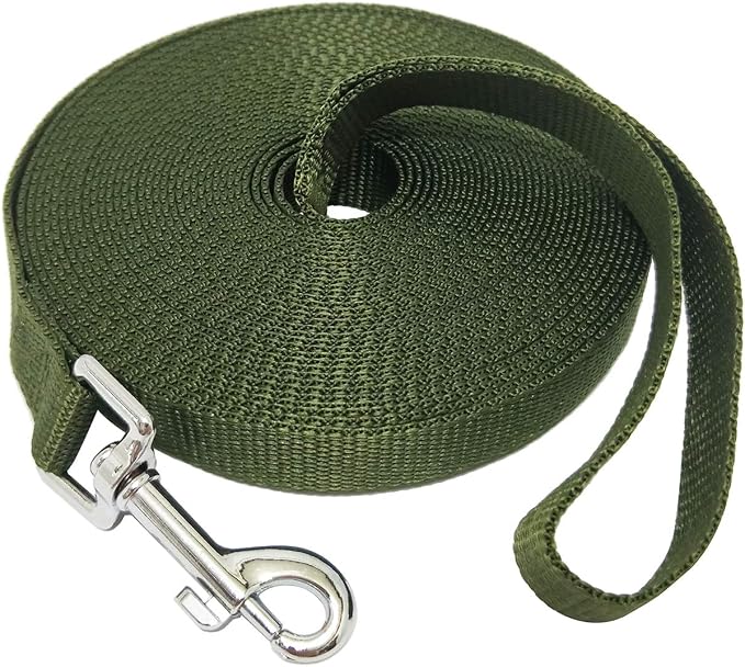 Nylon Training Dog Leash for Small Medium Large Dogs, 15ft 20ft 30ft 50ft Long Leash Dog/Puppy Lead for Obedience Recall Training, Camping (30ft, Green) by MANDAO