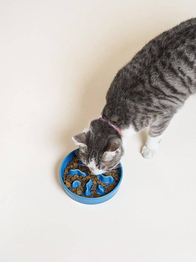 LE TAUCI PET Ceramic Slow Feeder Dog Bowls Small Breed, 0.5 Cups Dog Food Dish for Fast Eaters, Puzzle Bowl for Small Dogs and Cats, 5.5 Inch-Blue - Image 6