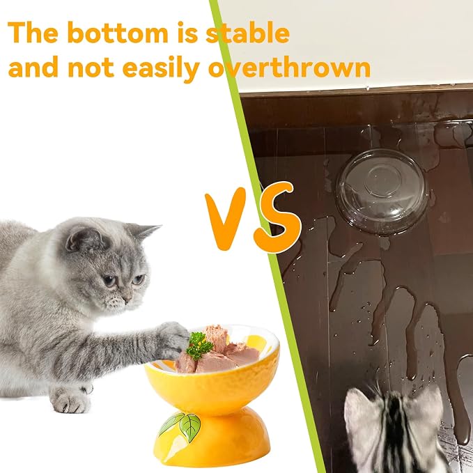 Elevated Cat Bowl Ceramic Raised Cat Food Water Bowls for Indoor Kitten | 5.2in Tilted Anti Vomiting Slow Feeder Cat Dishes, Whisker Friendly, Cute Lemon Design - Image 4