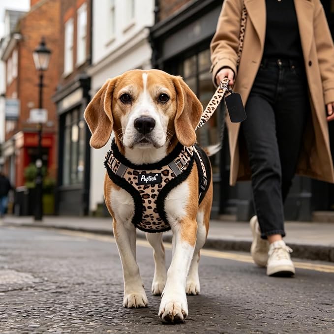 PUPTECK Dog Harness and Leash Set Small Sized, Step in No Pull Adjustable Puppy Cat Harness Reflective Pet Vest - Image 6