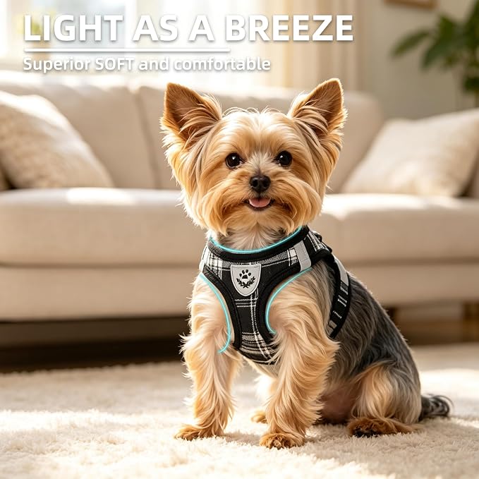 PUPTECK Dog Harness, Collar and Leash Set No Pull for Small Medium Sized | Plaid Puppy Step-in Escape Proof Reflective No Choke Pet Cat Adjustable Walking Vest - Image 3
