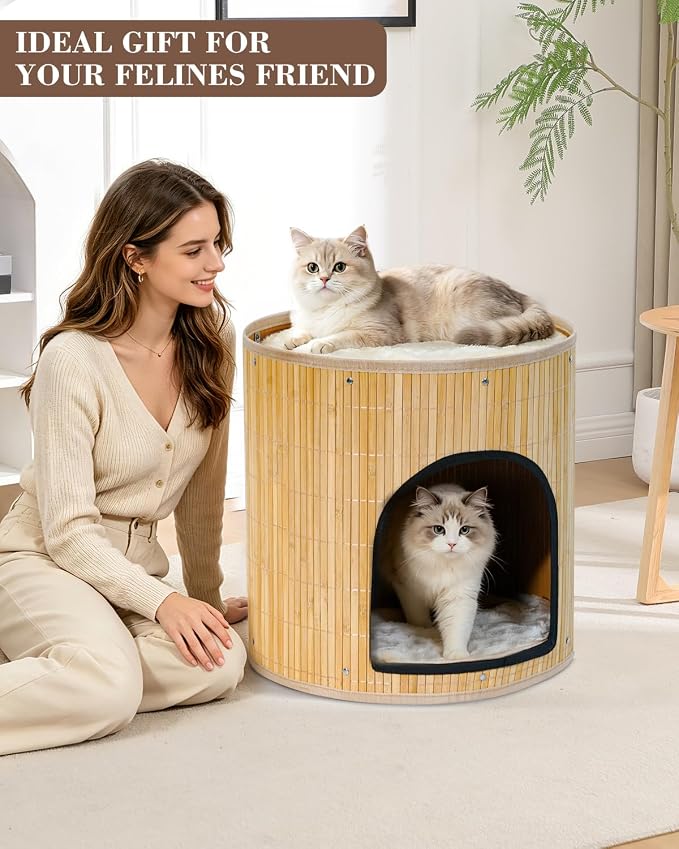 SYANDLVY Large Cat House, Kitten Condo with Bed for Indoor Cats, Portable ﻿ | 2-Tier Foldable Natural Bamboo Cave with Double-Sided Cushion, 15.5"x15.7" Washable Kitten Hideout - Image 6