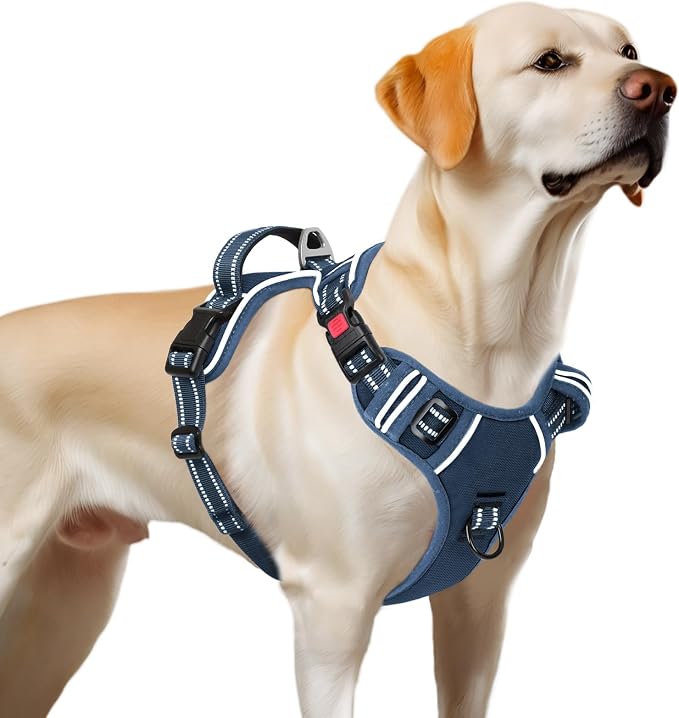 Timos Dog Harness, No Pull Large Sized with 3 Buckles, Royal Blue, XL | Reflective, No Choke, Easy On & Off, Adjustable Soft Padded, Front & Back 2 Clips and Control Handle for Walking Training - Image 8
