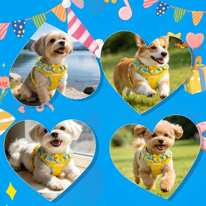EXPAWLORER Step-in Dog Harness Small Sized and Leash Set | Cute Small Dog Harness No Pull Girl, Breathable Soft Mesh Padded, Adjustable Light Puppy Vest for Dogs Cats, Daffodil S - Image 6
