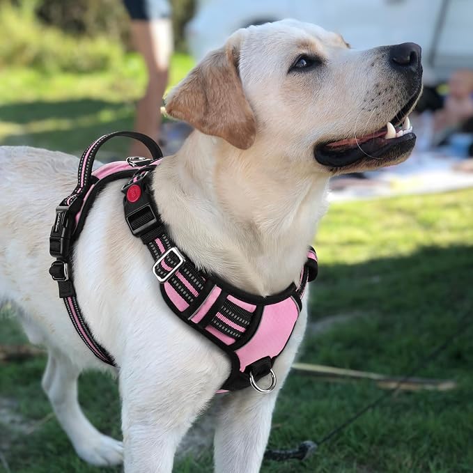 rabbitgoo Dog Harness for Large, No Pull 3 Buckles Easy On & Off | Soft Padded, Walking with Control Handle, Adjustable and Reflective, Light Pink, Large - Image 8