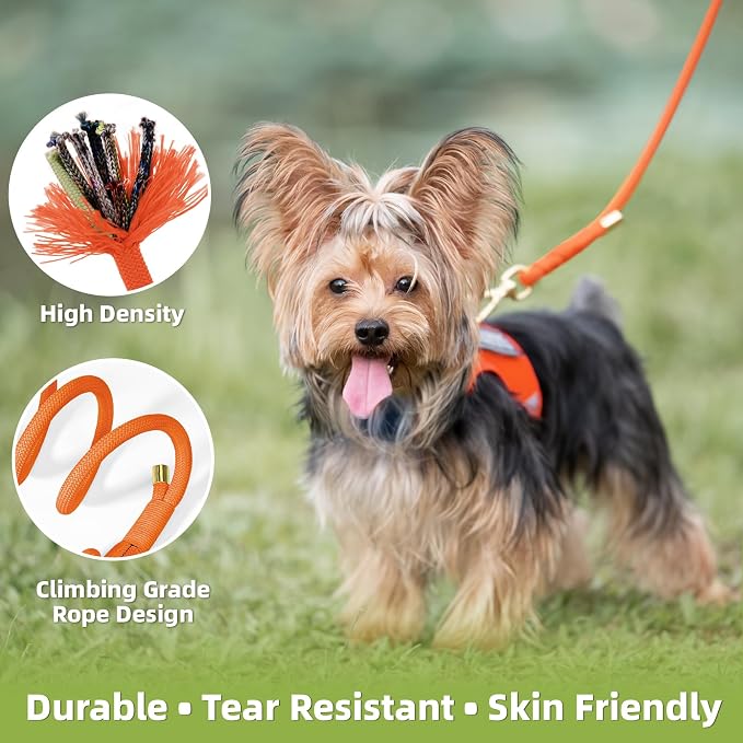 5FT Dog Leash 5/16 inch Puppy Cat Rope Lead | Orange, with Anti-tangle Swivel Clip, Comfortable Non-slip Grip Handle, Ideal for Daily Walks, for Small Medium Dogs - Image 4