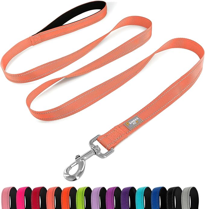 6 FT Basic Dog Leash for Medium Dogs,Coral | Padded Handle,Metal D-Ring,Heavy Duty Nylon Webbing, for Walking & Training by Penseepet