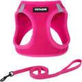 Voyager Step-in Air Cat Harness & Leash Set - Fuchsia, XX-Small | 12 - 13.5" in Chest, Reflective Bands, All Weather Breathable Air Mesh, Cats Compatible, Fast Drying by BestPetSuppliesLLC