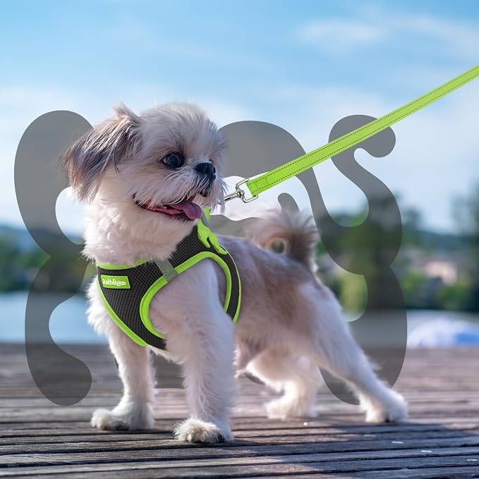 rabbitgoo Dog Harness Small Sized and Leash Set, Step in Soft Vest | Breathable Mesh, Easy Wear with Hook & Loop, Light and Reflective for Walking, Multi-colored, Black & Green, XXS - Image 8