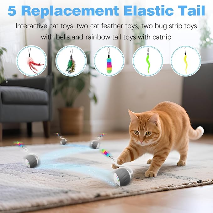 Upgraded 2.36 Inch Large Interactive Cat Toys Ball for Indoor Cats, Gray | Motion and Sound Activated, 2 Speeds, Rechargeable, 5 Replaceable Tails, Stuck-Free Motor, Pink Also Available - Image 4