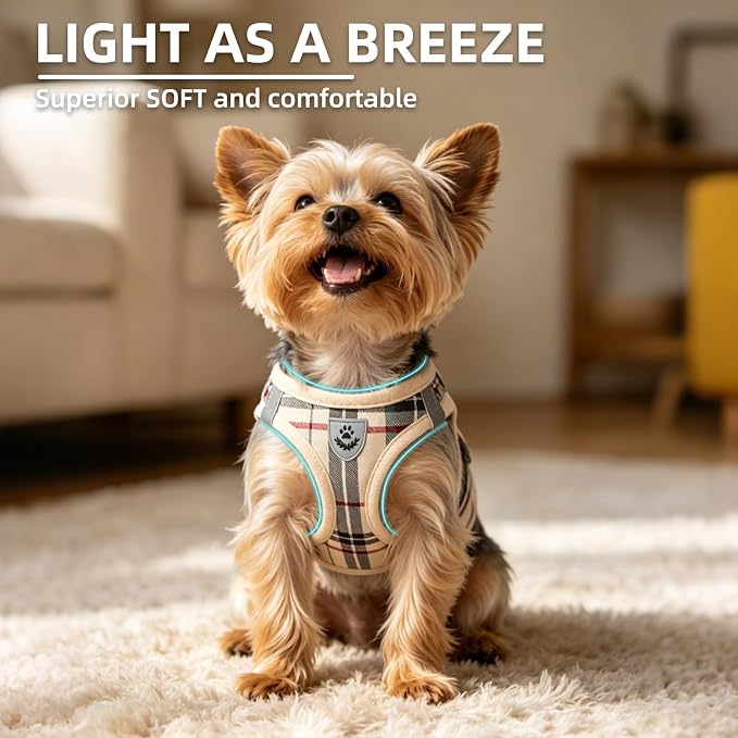 PUPTECK Dog Harness, Collar and Leash Set No Pull for Small Medium Sized | Plaid Puppy Step-in Escape Proof Reflective No Choke Pet Cat Adjustable Walking Vest - Image 3