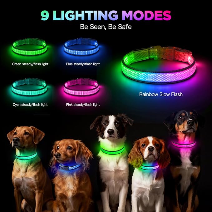 Flashseen Light up Collars for Dogs at Night, 9-Mode Glow, USB Rechargeable | Color Changing LED Lighted Dog Collar, Super Bright Adjustable Glow Collar for Night Walking (Lavender, Small) - Image 2