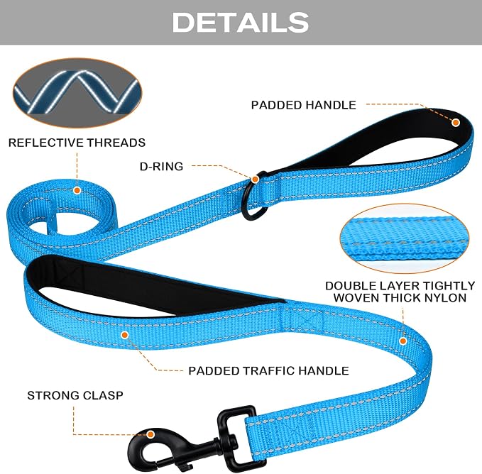 Joytale Dog Leash for Large Dogs that Pull, Double Handle, 6FT, Aqua Blue | Traffic Handle for Control, Padded Handle Reduces Hand Strain, Reflective Stitching for Night Safety, Strong Nylon Webbing - Image 3